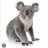 KoalaAvenue