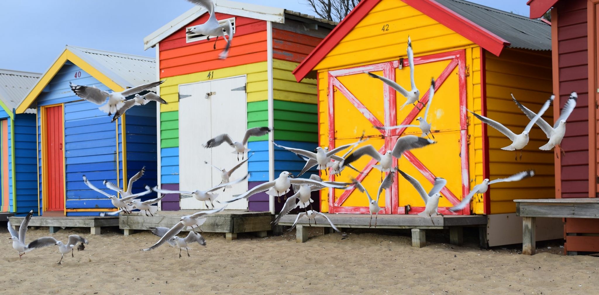 Brighton Bathing Boxes